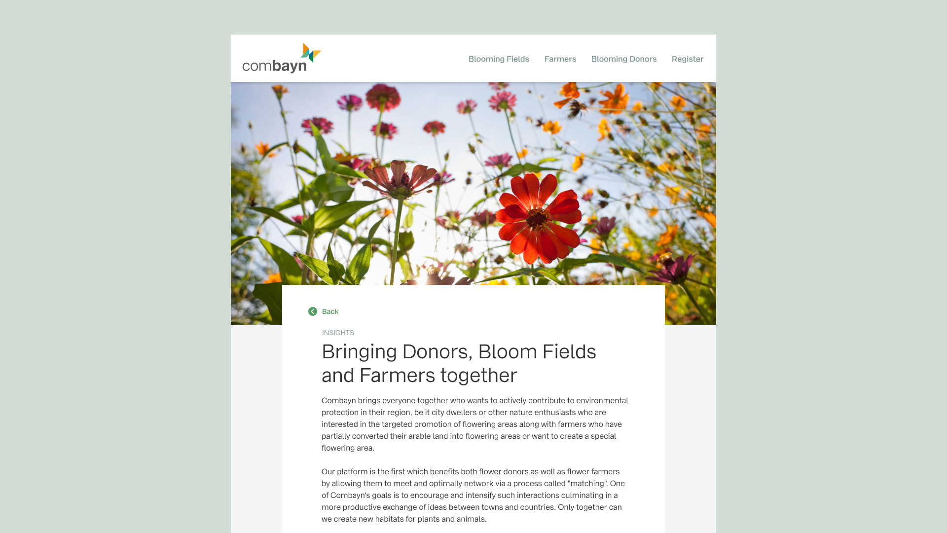 Combayn-Article-View-Nature-Blooming-Fields